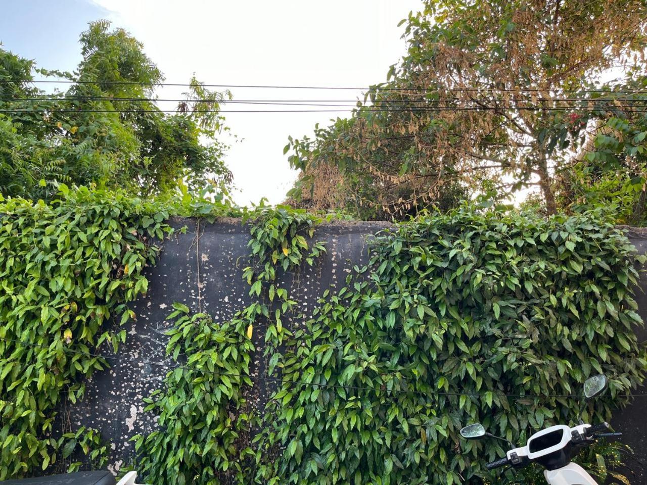 Nirman Homestay 5 Minutes Walk To Beach Puri Eksteriør bilde