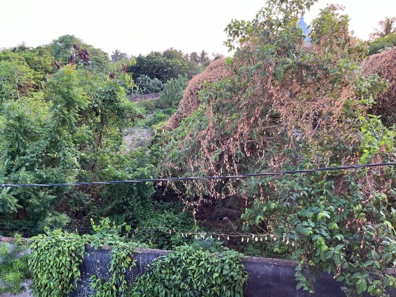 Nirman Homestay 5 Minutes Walk To Beach Puri Eksteriør bilde